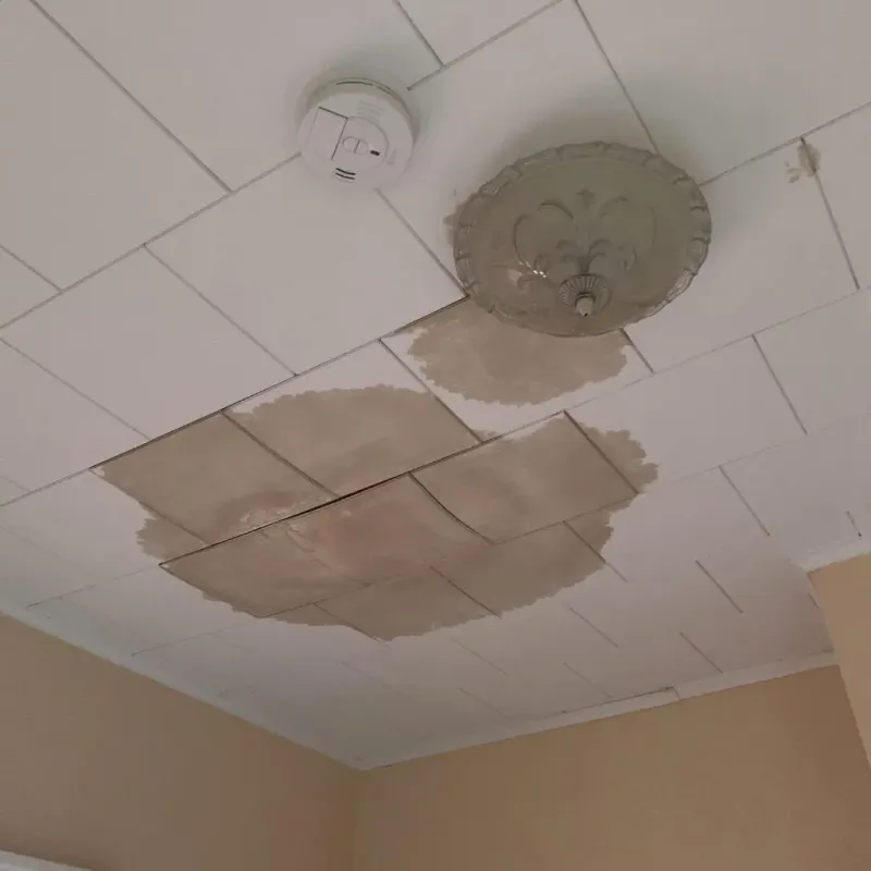 Ceiling Water Damage Repair in Wykagyl, NY